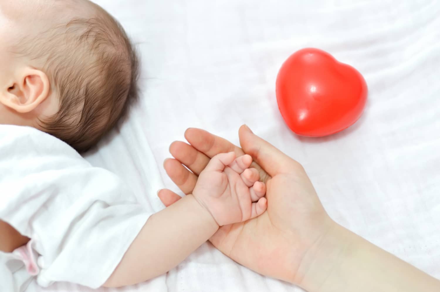 donación de óvulos, ayuda a ser madre